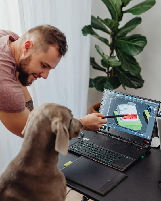 Office pets